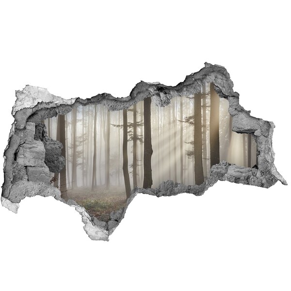 Decorazione da parete buco nel muro Foresta nebbiosa nella luce del mattino