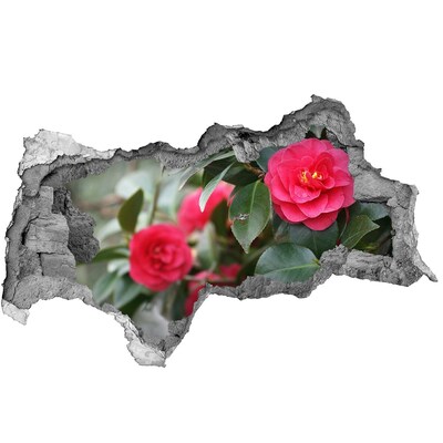 Adesivo con vista dietro il muro Giardino fiorito in cemento