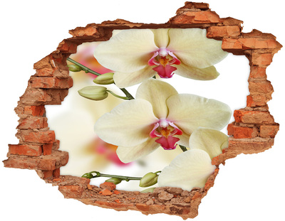 Adesivo murale buco 3D Orchidee in un muro diroccato