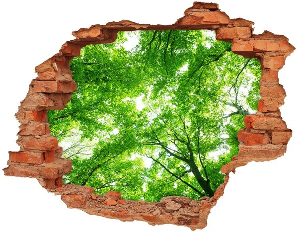 Adesivo murale buco 3D Foresta verde in un buco nel muro