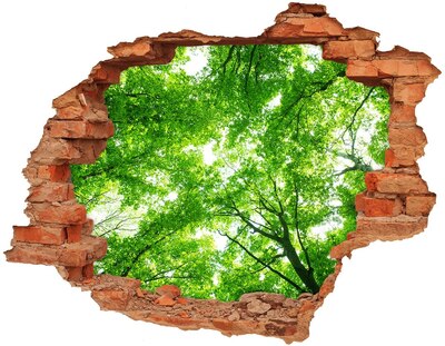 Adesivo murale buco 3D Foresta verde in un buco nel muro