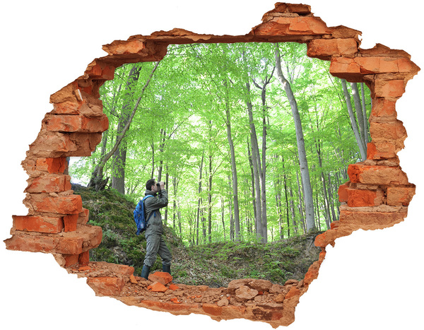 Adesivo murale buco 3D Oasi nella foresta