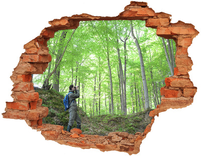 Adesivo murale buco 3D Oasi nella foresta