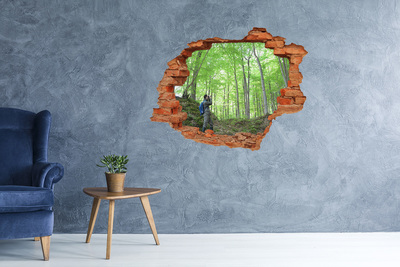 Adesivo murale buco 3D Oasi nella foresta