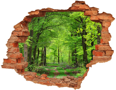 Adesivo effetto buco nel muro Foresta verde in un buco nel muro
