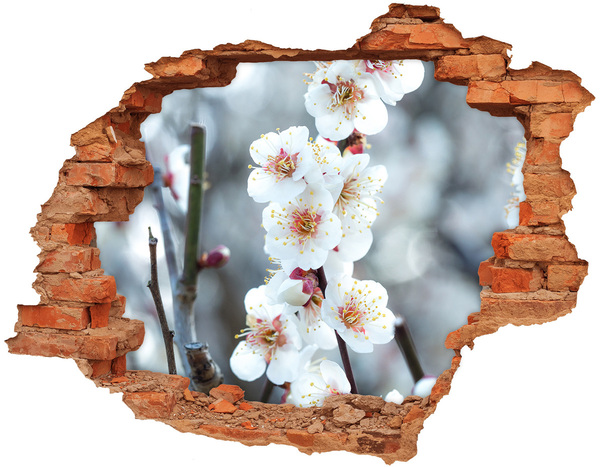 Adesivo con buco sbrecciato Fiori primaverili che spuntano da un buco nel muro