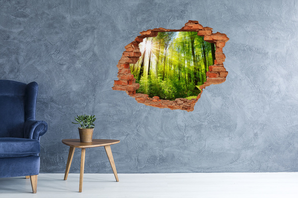Adesivo murale buco 3D Foresta verde con raggi di sole