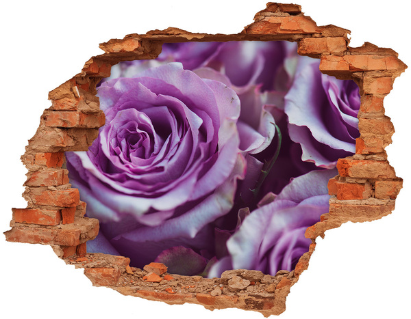Adesivo murale buco 3D Rose in cemento