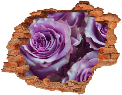Adesivo murale buco 3D Rose in cemento
