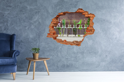 Adesivo con buco sbrecciato Un'oasi verde in vasi di vetro