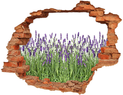 Adesivo murale buco 3D Oasi floreale di lavanda
