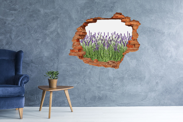 Adesivo murale buco 3D Oasi floreale di lavanda