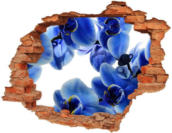 Adesivo murale buco 3D Un paradiso di fiori dietro il muro