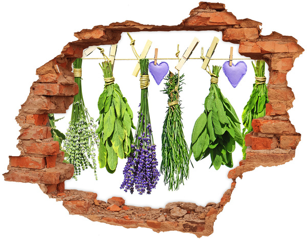 Adesivo effetto buco nel muro Giardino delle erbe aromatiche nel buco nel muro