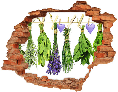 Adesivo effetto buco nel muro Giardino delle erbe aromatiche nel buco nel muro