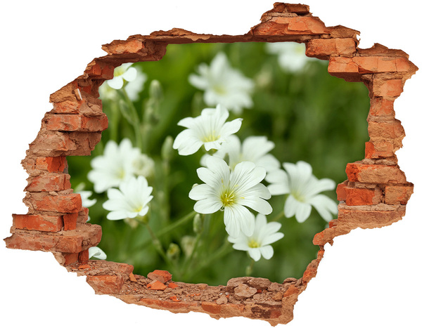 Adesivo con buco sbrecciato Fiori in un buco nel muro