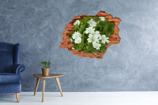 Adesivo con buco sbrecciato Fiori in un buco nel muro