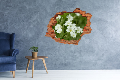 Adesivo con buco sbrecciato Fiori in un buco nel muro