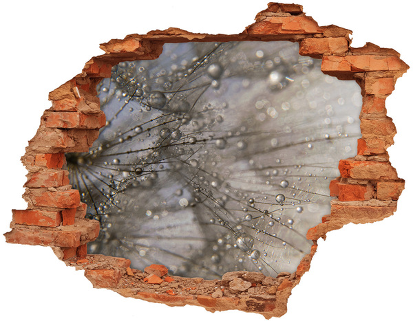 Adesivo effetto buco nel muro Gocce d'acqua sul vetro