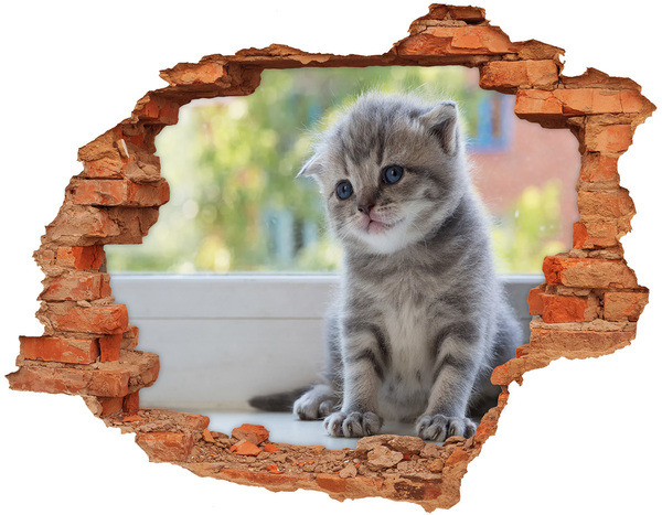 Adesivo murale buco 3D Gattino in un buco nel muro