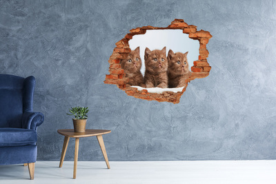 Adesivo murale buco 3D Gattini dietro il muro