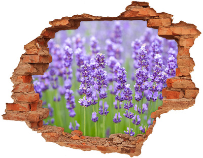 Adesivo murale buco 3D Campo di lavanda sotto il sole