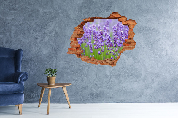 Adesivo murale buco 3D Campo di lavanda sotto il sole