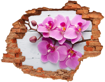 Adesivo murale buco 3D Fiori di orchidea che spuntano da un buco nel muro