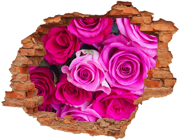Adesivo con buco sbrecciato Rose in un buco nel muro