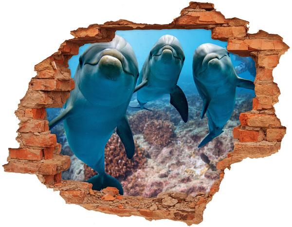 Adesivo murale buco 3D Delfini in una barriera corallina