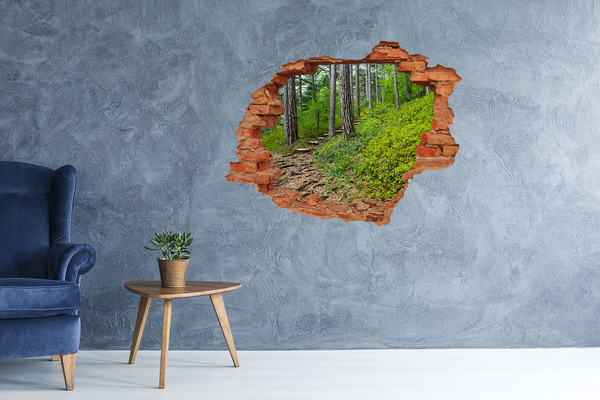 Adesivo murale buco 3D Sentiero nella foresta di Hole in the Wall