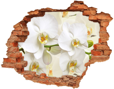 Adesivo murale buco 3D Orchidee nel cemento