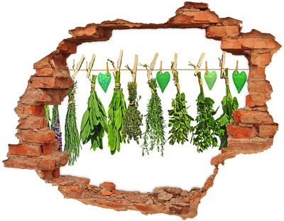 Adesivo effetto buco nel muro Giardino delle erbe aromatiche nel buco nel muro