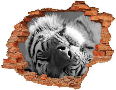 Adesivo murale buco 3D Il volto della tigre