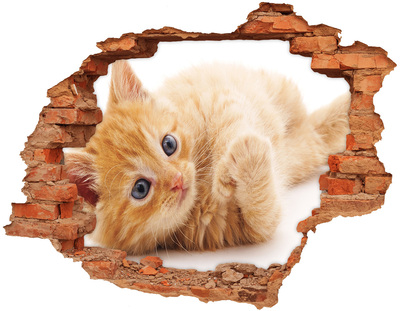 Adesivo effetto buco nel muro Gatto in un buco nel muro