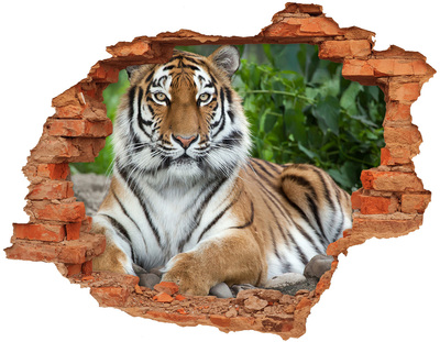 Adesivo murale buco 3D Tigre nel suo habitat naturale