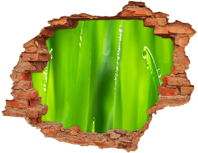 Adesivo murale buco 3D Prato verde con gocce d'acqua