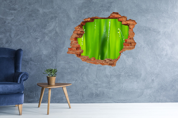 Adesivo murale buco 3D Prato verde con gocce d'acqua