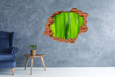 Adesivo murale buco 3D Prato verde con gocce d'acqua