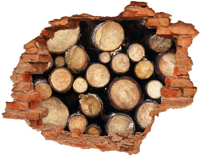 Adesivo murale buco 3D Legno in un buco nel muro