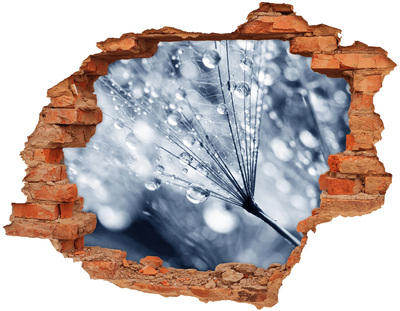 Adesivo murale buco 3D Gocce di rugiada su un dente di leone