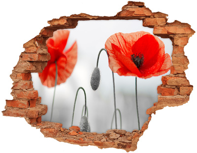 Adesivo murale buco 3D Fiori in un buco nel muro