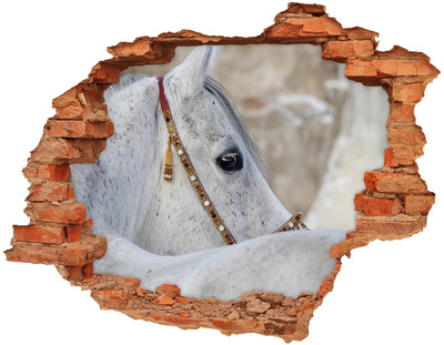 Adesivo murale buco 3D Un cavallo con una briglia elegante