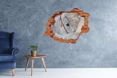 Adesivo murale buco 3D Un cavallo con una briglia elegante
