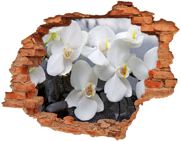 Adesivo effetto buco nel muro Fiori di orchidea in acqua