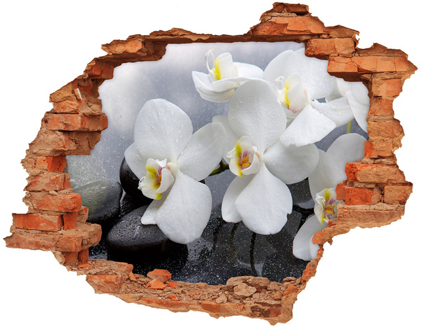 Adesivo con buco sbrecciato Orchidee nel cemento