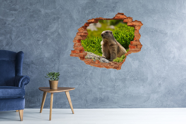Adesivo murale buco 3D Marmotta in natura