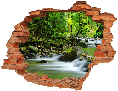 Adesivo murale buco 3D Cascata nella foresta tropicale