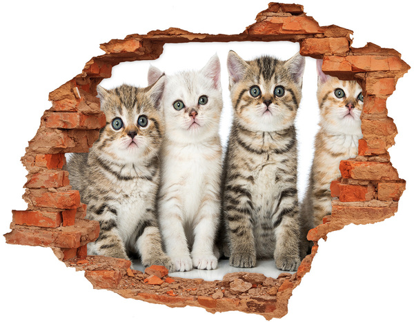 Adesivo murale buco 3D Il trio di gatti dietro il buco nel muro