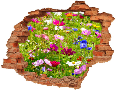 Adesivo murale buco 3D Un paradiso di fiori dietro il muro
